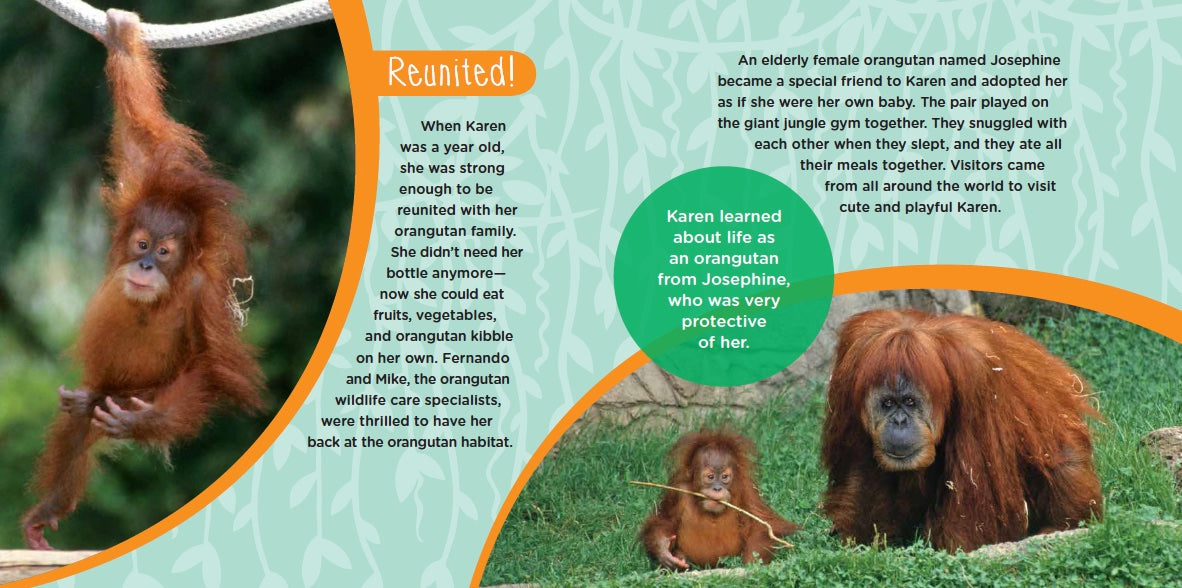 Karen's Heart: The True Story of a Brave Baby Orangutan