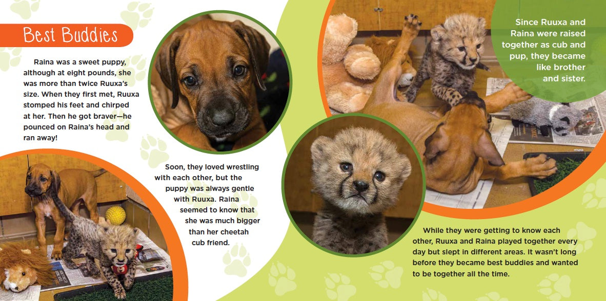 Ruuxa & Raina: A Cheetah and Dog's True Story of Friendship and Miracles