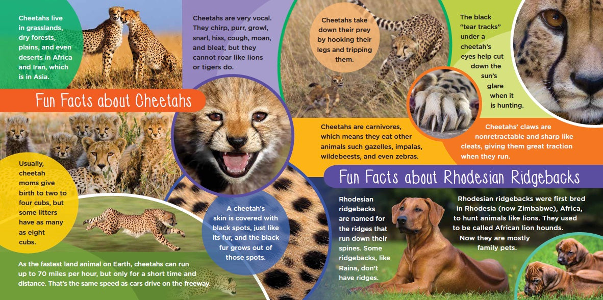 Ruuxa & Raina: A Cheetah and Dog's True Story of Friendship and Miracles