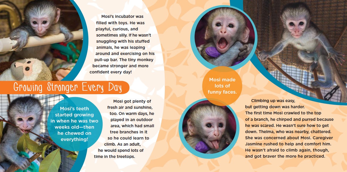 Mosi Musa: A True Tale about a Baby Monkey Raised by His Grandma