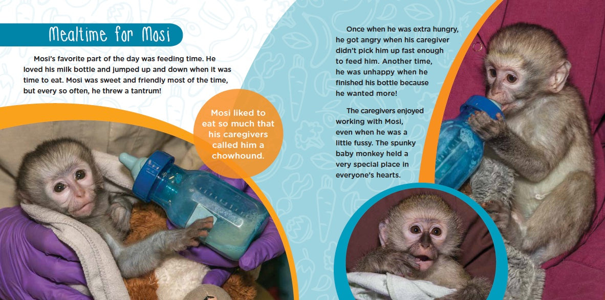 Mosi Musa: A True Tale about a Baby Monkey Raised by His Grandma