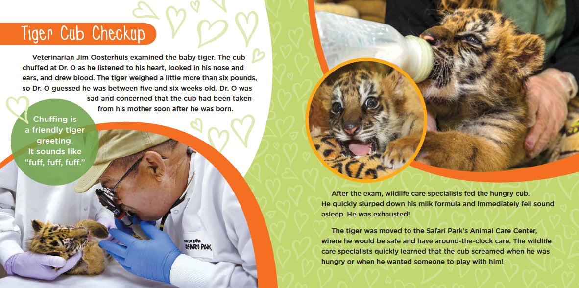 Saving Moka: The True Tale of a Rescued Tiger Cub