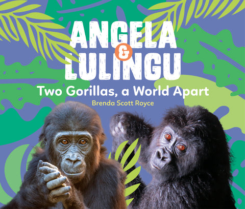 Angela & Lulingu: Two Gorillas, a World Apart