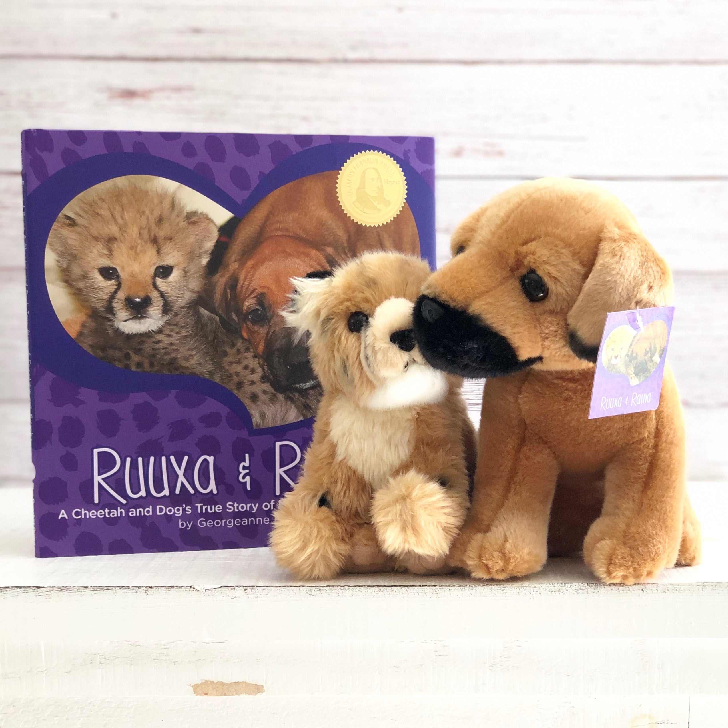 Ruuxa & Raina: A Cheetah and Dog's True Story of Friendship and Miracles